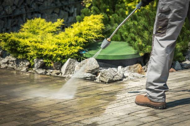 Best Patio and Deck Pressure Washing  in Vero Beach, FL